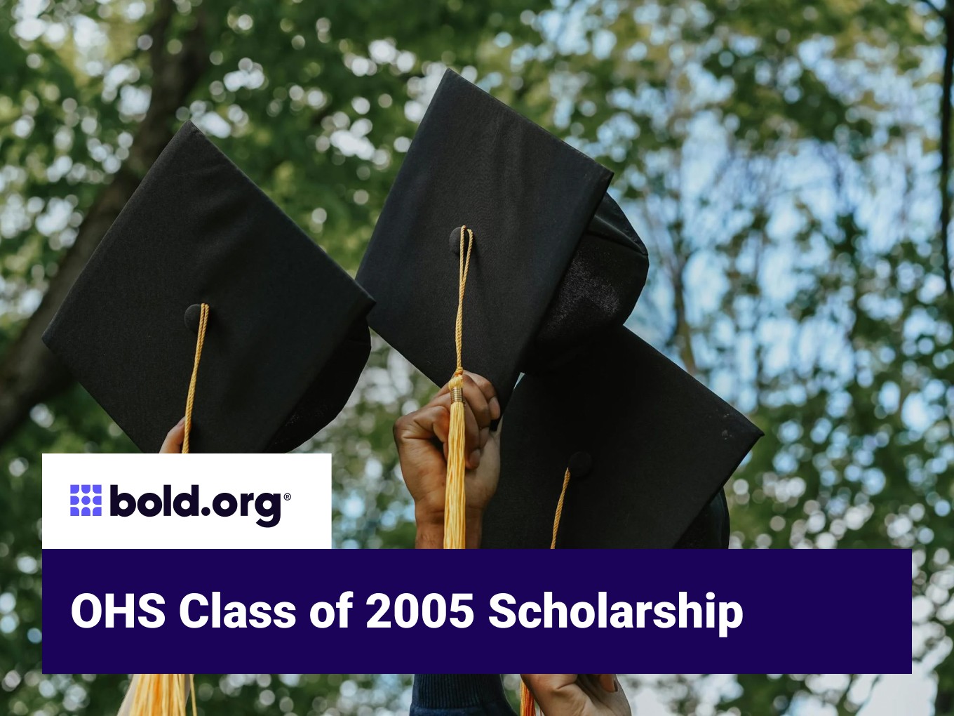 Scholarship cover image